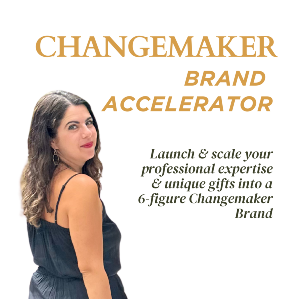 Changemaker Business Strategy Accelerator (3 Month Program)