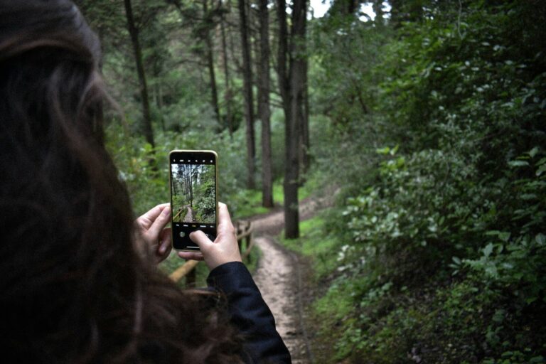 person taking photo of green trees during daytime